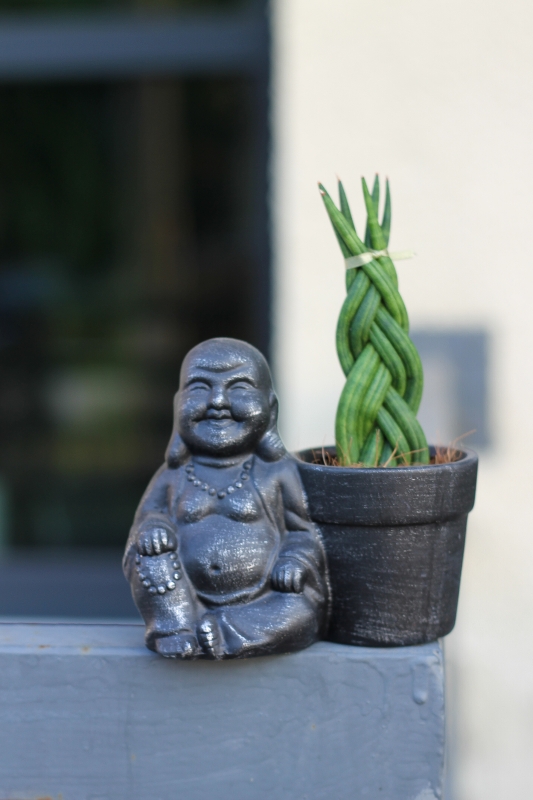 Сансевиерия Цилиндрика Коса с кашпо Будда / Sansevieria Cylindrica Buddha