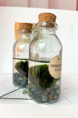 Кладофора шаровидная